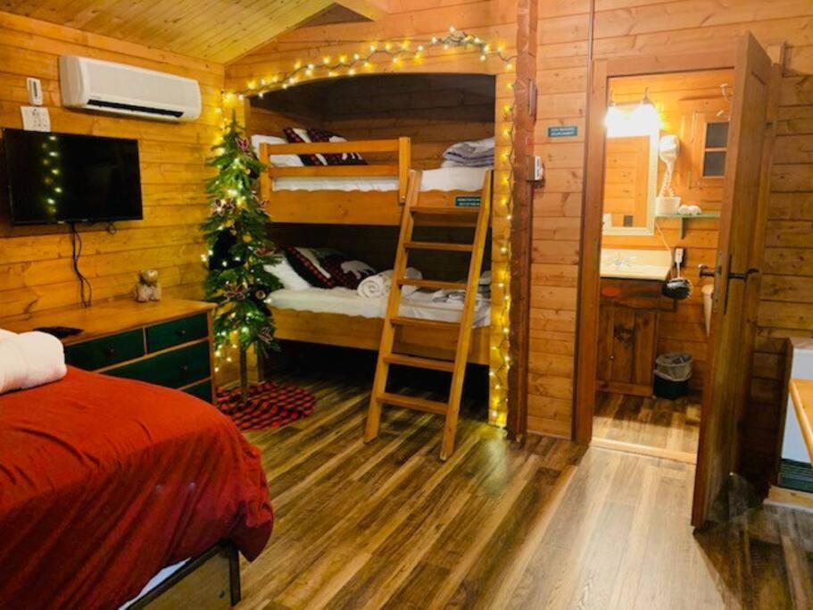 הייוורד Honeybear Hideaway Cabin מראה חיצוני תמונה