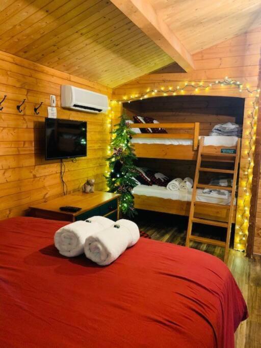 הייוורד Honeybear Hideaway Cabin מראה חיצוני תמונה
