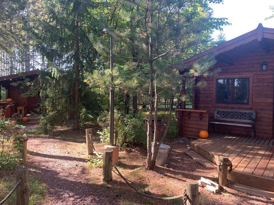 הייוורד Honeybear Hideaway Cabin מראה חיצוני תמונה