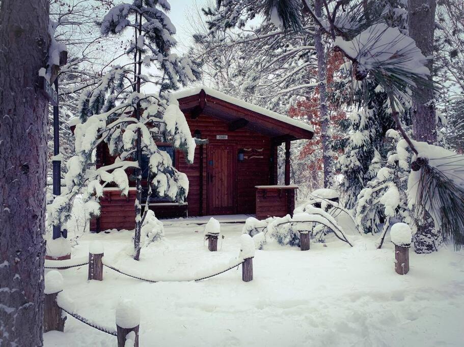 הייוורד Honeybear Hideaway Cabin מראה חיצוני תמונה