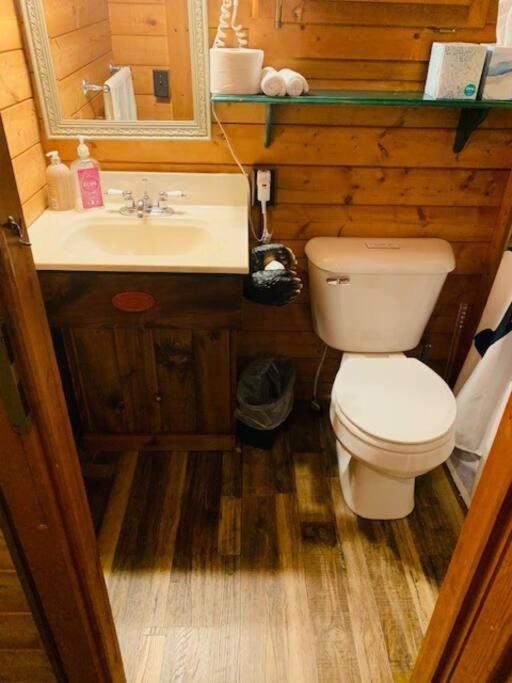 הייוורד Honeybear Hideaway Cabin מראה חיצוני תמונה