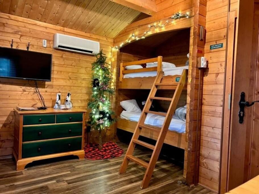 הייוורד Honeybear Hideaway Cabin מראה חיצוני תמונה